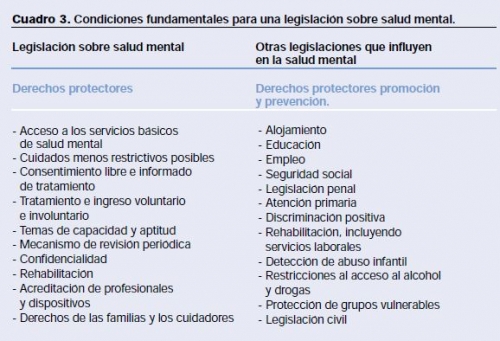 Condiciones fundamentales para una legislación sobre salud mental