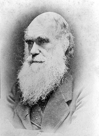 foto de darwin en libros, textos y obras