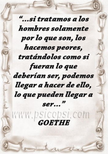 Aplicación de la logoterapia - Goethe