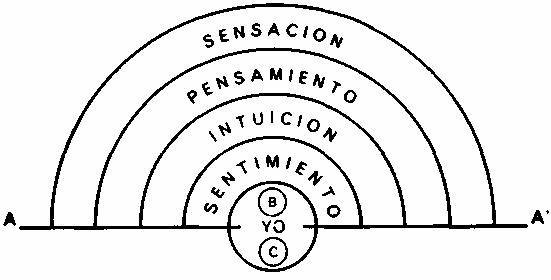 Jung, los complejos y el incosciente, libro segundo, esquema 1