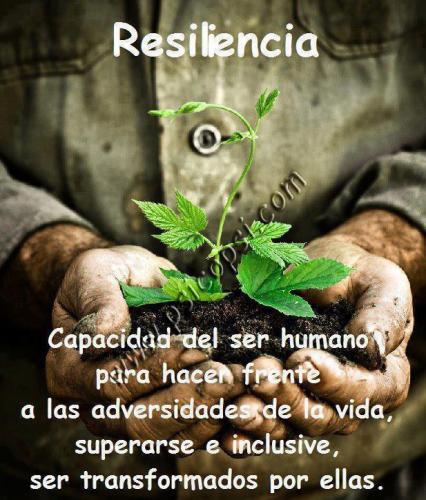 Frases Psy: Resiliencia