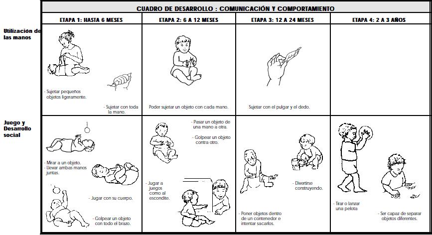 Fomento del Desarrollo del Niño con Parálisis Cerebral, Reconocer el desarrollo del niño