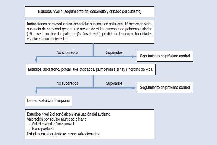 autismo. espectro autista, figura 1