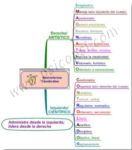 Hemisferios Cerebrales: Personalidad