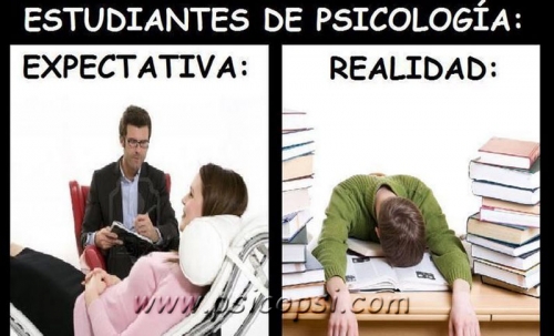 Humor Psy: Expectativa - realidad