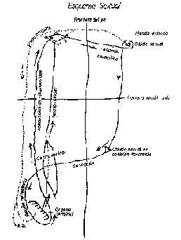 Manuscrito G, Freud