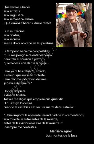 Poemas Psy: Los Montes de la Loca (Marisa Wagner)