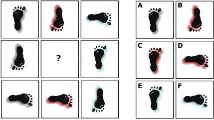 ejemplo test, CI, psicopsi 12