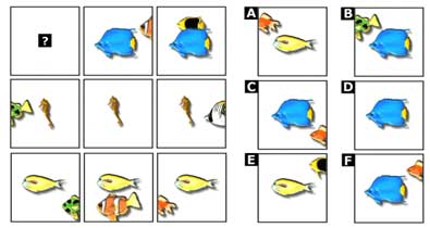 ejemplo test, CI, psicopsi 5