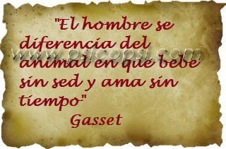 Frases Psy: Gasset