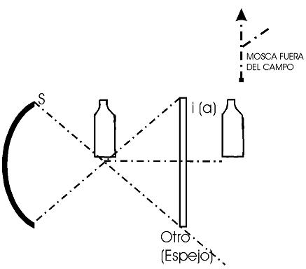 seminario 8, clase 27