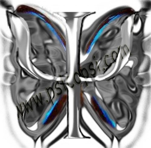 Significado del símbolo Ѱ (Psi) y su relación con la mariposa Significado del símbolo Ѱ (Psi) y su relación con la mariposa