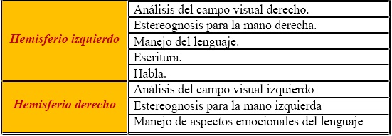 equilibrio y emociones, división hemisférica funcional