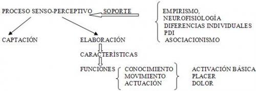 caracteres de la percepcion