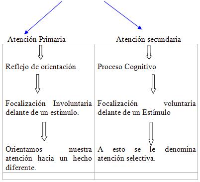 dos tipos de atencion