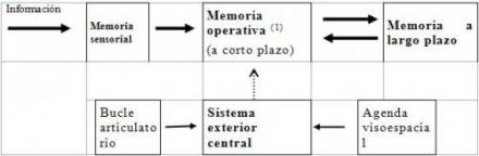 estructuras de la memoria