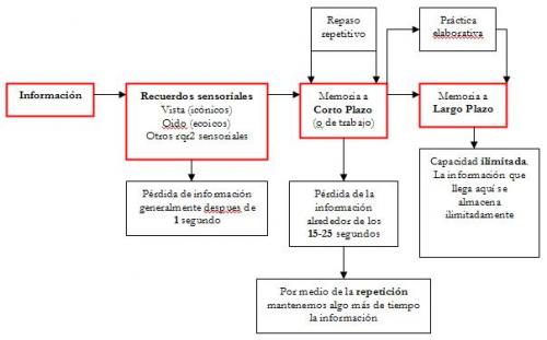 Etapas de la memoria