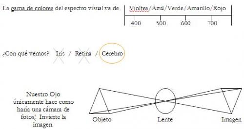 gamas de colores