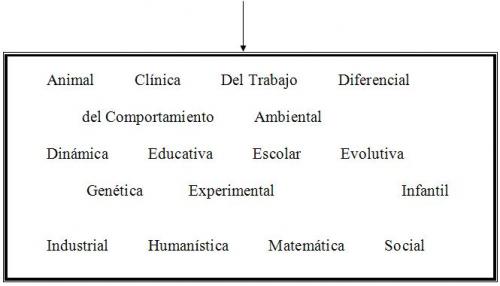 ramas de la psicologia