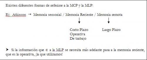Existen diferentes formas de referirse a la MCP y la MLP