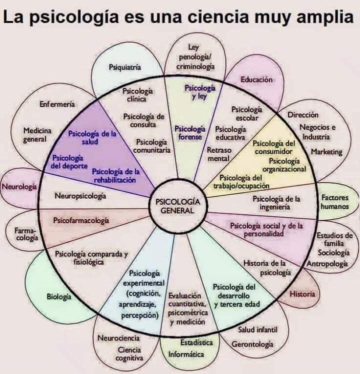 Trabajos, Tesis, Monografías de Estudiantes y Profesionales - Psicopsi